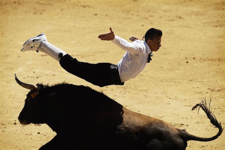 Spanish recortador leaping over a bull